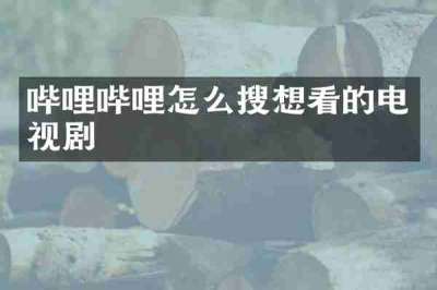 哔哩哔哩怎么搜想看的电视剧