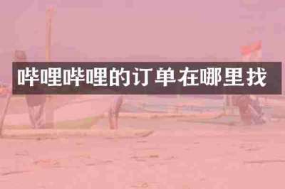 哔哩哔哩的订单在哪里找