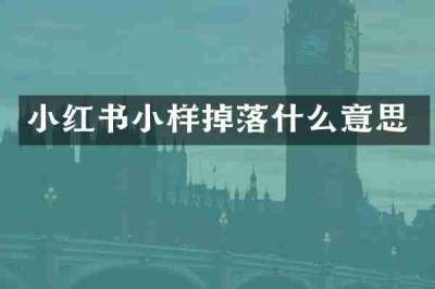 小红书小样掉落什么意思