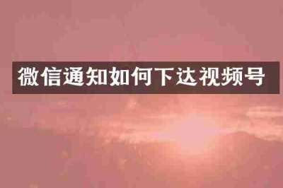 微信通知如何下达视频号