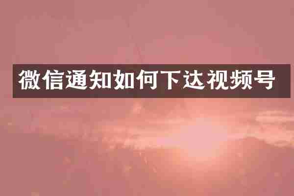 微信通知如何下达视频号