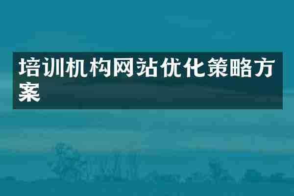 培训机构网站优化策略方案