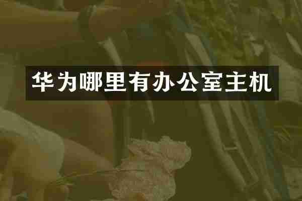 华为哪里有办公室主机