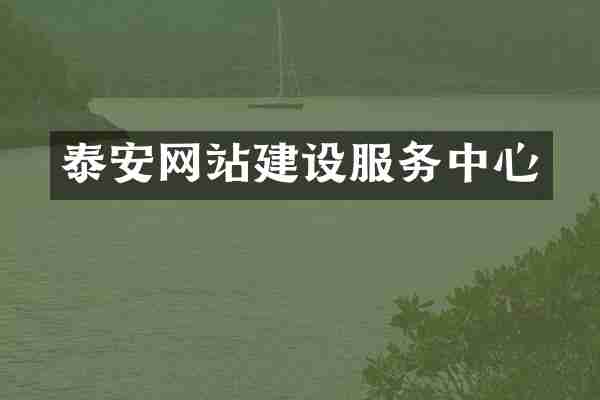 泰安网站建设服务中心