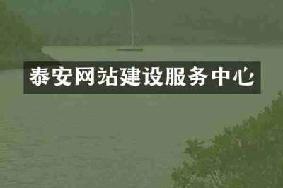 泰安网站建设服务中心