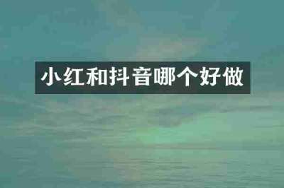 小红和抖音哪个好做