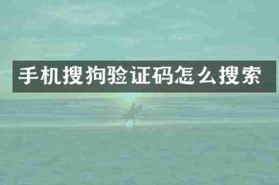 手机搜狗验证码怎么搜索
