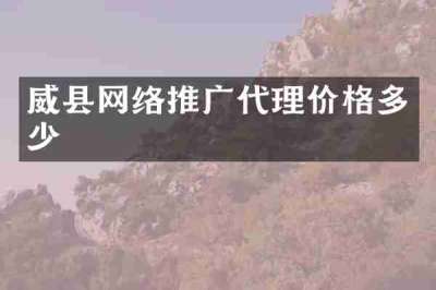 威县网络推广代理价格多少