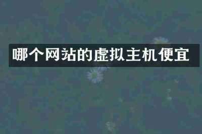 哪个网站的虚拟主机便宜