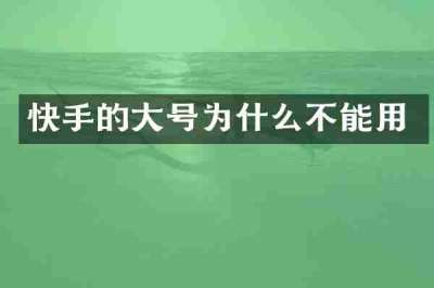 快手的大号为什么不能用