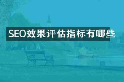 SEO效果评估指标有哪些