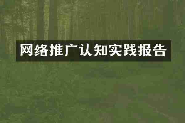 网络推广认知实践报告