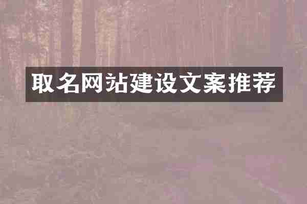 取名网站建设文案推荐