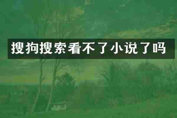 搜狗搜索看不了小说了吗