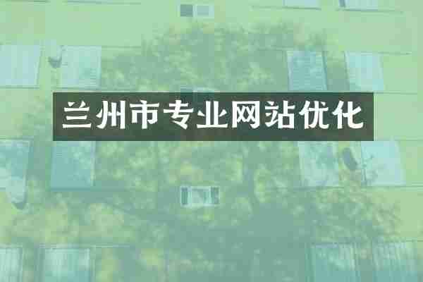 兰州市专业网站优化