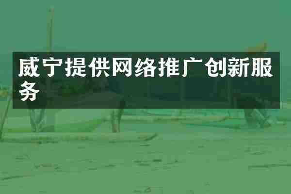 威宁提供网络推广创新服务