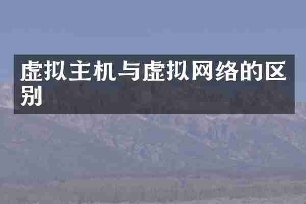 虚拟主机与虚拟网络的区别