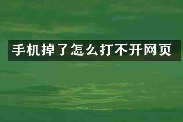 手机掉了怎么打不开网页