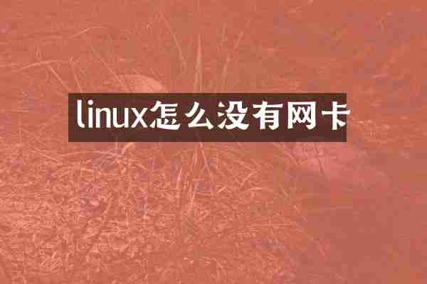 linux怎么没有网卡