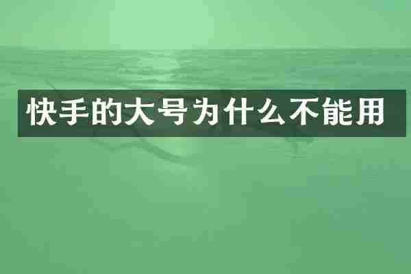 快手的大号为什么不能用