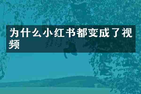 为什么小红书都变成了视频