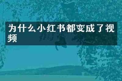 为什么小红书都变成了视频