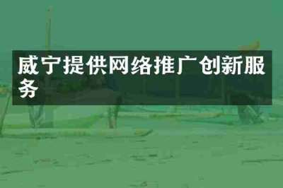 威宁提供网络推广创新服务