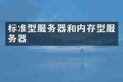 标准型服务器和内存型服务器