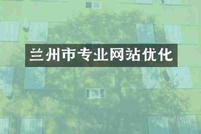 兰州市专业网站优化