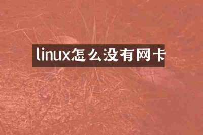 linux怎么没有网卡