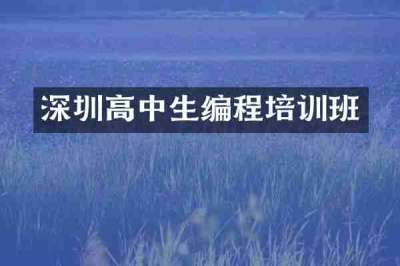 深圳高中生编程培训班