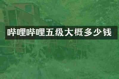 哔哩哔哩五级大概多少钱