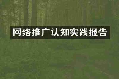 网络推广认知实践报告