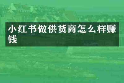 小红书做供货商怎么样赚钱