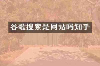 谷歌搜索是网站吗知乎