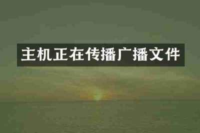 主机正在传播广播文件