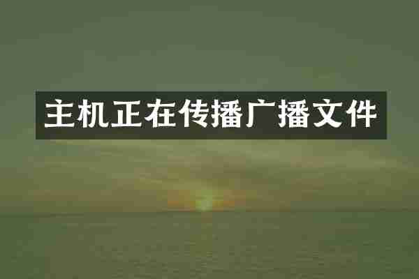 主机正在传播广播文件