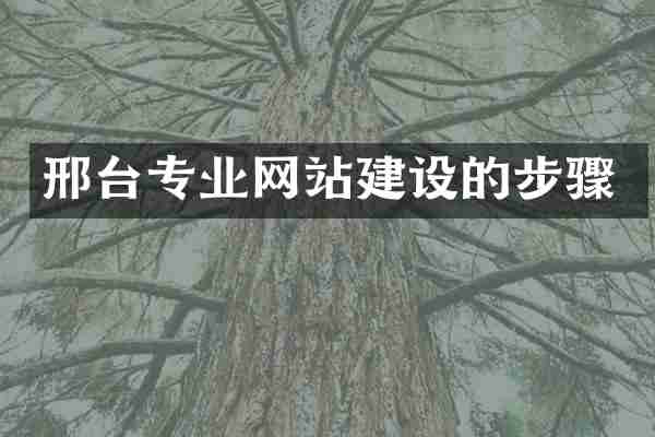 邢台专业网站建设的步骤