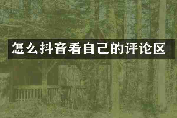 怎么抖音看自己的评论区