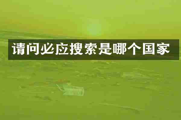 请问必应搜索是哪个国家