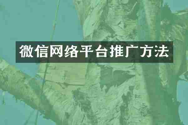 微信网络平台推广方法