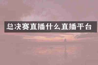 总决赛直播什么直播平台