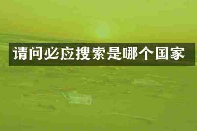 请问必应搜索是哪个国家