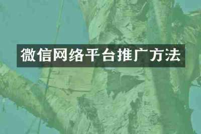 微信网络平台推广方法