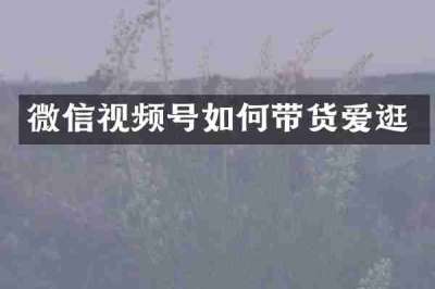 微信视频号如何带货爱逛