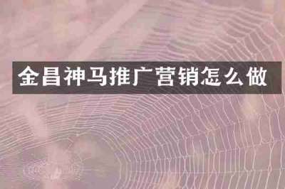 金昌神马推广营销怎么做