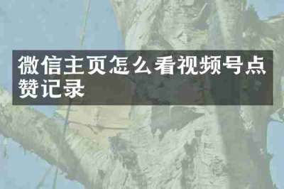 微信主页怎么看视频号点赞记录