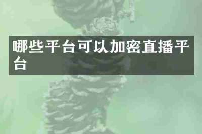 哪些平台可以加密直播平台