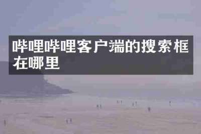 哔哩哔哩客户端的搜索框在哪里