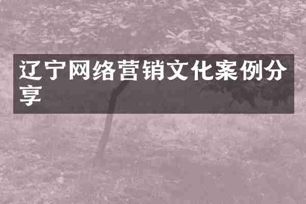 辽宁网络营销文化案例分享